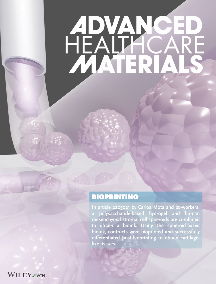 Frontispiece render for Decarli et al. 2023 Advanced Healthcare Materials, showing bioprinted spheroids